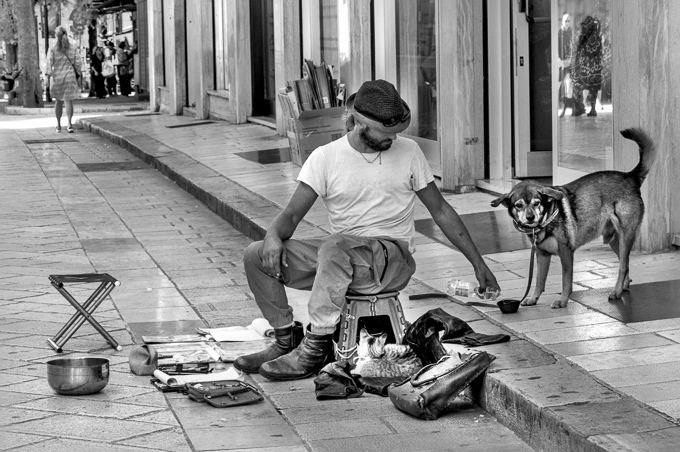 Man's Best Friend